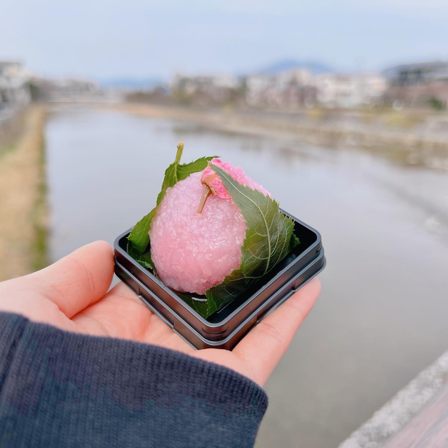 京菓子匠 甘春堂の春の銘菓 「桜餅」