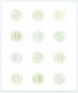 イラスト懐紙 竹あられ【辻徳】