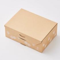 チョコレートわらぶ餅 (5個・箱入り)【文の助茶屋】