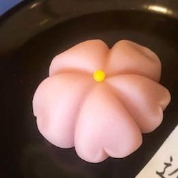 季節の上生菓子詰合せ【船屋秋月】