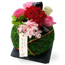 母の日限定「苔玉プリザーブドフラワー」【花工房】