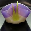 季節の上生菓子(化粧箱入)【鍵長】