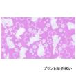 プリント和手拭い「うさぎ」(2枚)