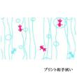 プリント和手拭い「二色水流金魚」(2枚)