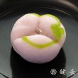 季節の上生菓子(化粧箱入)【鍵長】