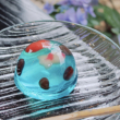 夏の庭(6個・箱入)【甘春堂本店】