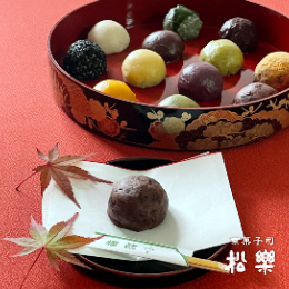 名物 京おはぎ (12種類・化粧箱入)【松楽】