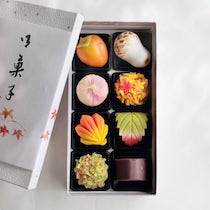[10/2〜]秋の上生菓子(8個・化粧箱入)【甘春堂本店】