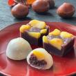 秋の和菓子詰め合わせ<栗蒸し羊羹・本栗餅>【京橘総本店】